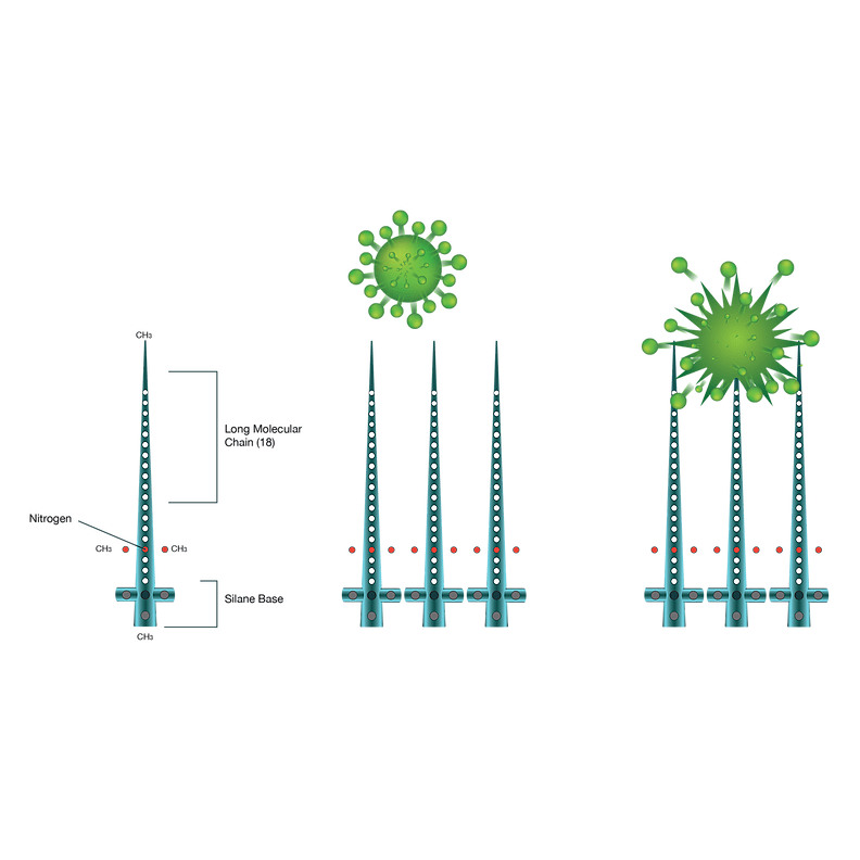 Disinfection: Affordability & Effectiveness